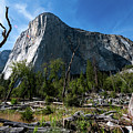 The Gravity of El Cap Photograph by Kevin Suttlehan The Gravity of El Cap Photograph by Kevin Suttlehan