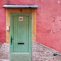 The Green Door by Andrea Whitaker