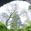 The Initiation Well Photograph by Anastasy Yarmolovich The Initiation Well Photograph by Anastasy Yarmolovich
