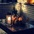 The Lantern Photograph by Claudia Zahnd-Prezioso The Lantern Photograph by Claudia Zahnd-Prezioso