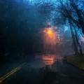 The Light Shines in the Darkness by Eddy Mann The Light Shines in the Darkness by Eddy Mann