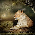 The Lioness Digital Art by Maggy Pease The Lioness Digital Art by Maggy Pease