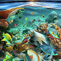 The Maldives Coral Reef by Soraya D'Apuzzo