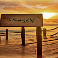 The Meaning of Life by Will Wagner