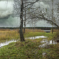 The Melancholic Last Song Of Autumn by Aleksandrs Drozdovs