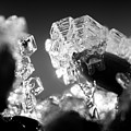 The Microscopic World 11 by Christopher Hollon
