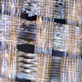 The Microscopic World 8 by Christopher Hollon
