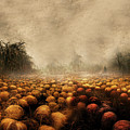 The Mysterious Field of Pumpkins Mixed Media by Colleen Taylor The Mysterious Field of Pumpkins Mixed Media by Colleen Taylor