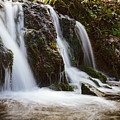 The Nant Cwmllwydrew by Gavin Lewis
