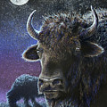 the Nightwatch Drawing by Jill Westbrook the Nightwatch Drawing by Jill Westbrook