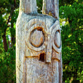 The Owl Totem from Hontoon by Nick Zelinsky Jr