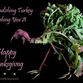 The Radishing Turkey Wishing You A Happy Thanksgiving by Nancy Griswold The Radishing Turkey Wishing You A Happy Thanksgiving by Nancy Griswold