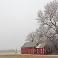 The Red Shed Rests on a Gloomy Winter Day  by Mary Tastad