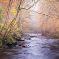 The River in Autumn Photograph by Anita Nicholson The River in Autumn Photograph by Anita Nicholson