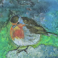 The Robin Bird by Vibeke Moldberg The Robin Bird by Vibeke Moldberg