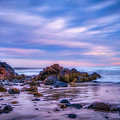 The Rocks of Marginal Way Photograph by Penny Polakoff The Rocks of Marginal Way Photograph by Penny Polakoff