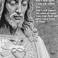 The Saving Heart of Jesus by Dan Menta