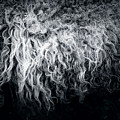 The Sheep by Dorit Fuhg