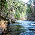 The South Fork of the McKenzie River Photograph by Belinda Greb The South Fork of the McKenzie River Photograph by Belinda Greb