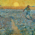 The sower in the setting sun Painting by Vincent van Gogh The sower in the setting sun Painting by Vincent van Gogh
