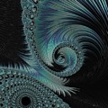 The Spiral #3 Digital Art by Mary Ann Benoit The Spiral #3 Digital Art by Mary Ann Benoit