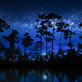The Star Forest Photograph by Mark Andrew Thomas