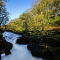 The Strid, Wharfedale Photograph by Tom Holmes Photography The Strid, Wharfedale Photograph by Tom Holmes Photography