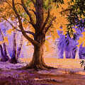 The Sunshine Tree by Jane Small