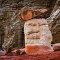 The Toadstool Hoodoo's in Grand Staircase-Escalante by Nick Zelinsky Jr