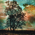 The Veil of Daybreak Photograph by Susan Maxwell Schmidt The Veil of Daybreak Photograph by Susan Maxwell Schmidt