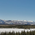 The View Photograph by David Jennings