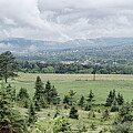 The view from here Photograph by Alan Norsworthy