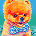 Theo the Pomeranian Painting by Rebecca Wang Theo the Pomeranian Painting by Rebecca Wang