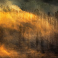 Thin Forest Photograph by Evgeni Dinev Thin Forest Photograph by Evgeni Dinev