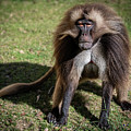 This is How I Look When I'm Happy Photograph by David Levin This is How I Look When I'm Happy Photograph by David Levin