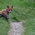This is my territory by Anges Van der Logt