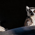 This Spot's for You Photograph by David Levin This Spot's for You Photograph by David Levin