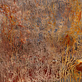 Threads of Life - Icy Abstract 52 by Sami Tiainen