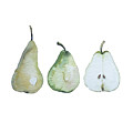 Three pears standing Painting by Luisa Millicent Three pears standing Painting by Luisa Millicent