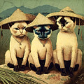 Three Siamese Cats by James Lloyd