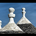 Three Times Three Photograph by Elvira Peretsman