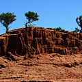 Threes of Gobi Photograph by Elbegzaya Lkhagvasuren Threes of Gobi Photograph by Elbegzaya Lkhagvasuren
