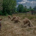 Threshing the Wheat Photograph by Regina Muscarella Threshing the Wheat Photograph by Regina Muscarella