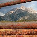 Through the Fence Photograph by Go and Flow Photos Through the Fence Photograph by Go and Flow Photos
