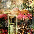 Through the Seasons Photograph by Shara Abel Through the Seasons Photograph by Shara Abel