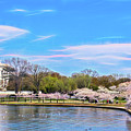 Tidal Basin in the Spring Photograph by Kathi Isserman