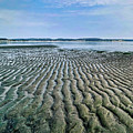 Tide rivulets Photograph by Bradley Morris Tide rivulets Photograph by Bradley Morris