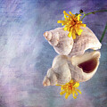 Tidewashed Memories by Randi Grace Nilsberg