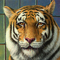 Tiger in Trouble Painting by James W Johnson Tiger in Trouble Painting by James W Johnson