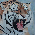 Tiger Painting by Masami IIDA Tiger Painting by Masami IIDA